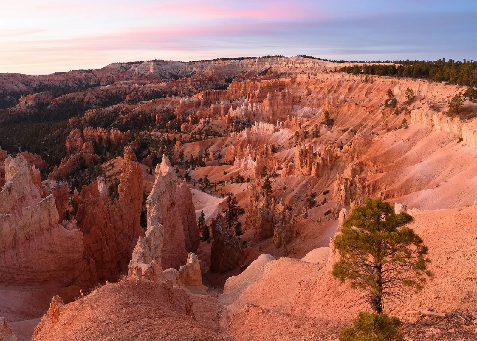 Morning light on hoodoos seen from Sunrise Point, Bryce Canyon National Park, Utah