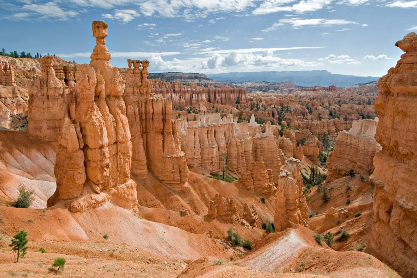 Balanced rock pillar known as Thor's Hammer rising from a hoodoo fin, Bryce Canyon National Park, Utah