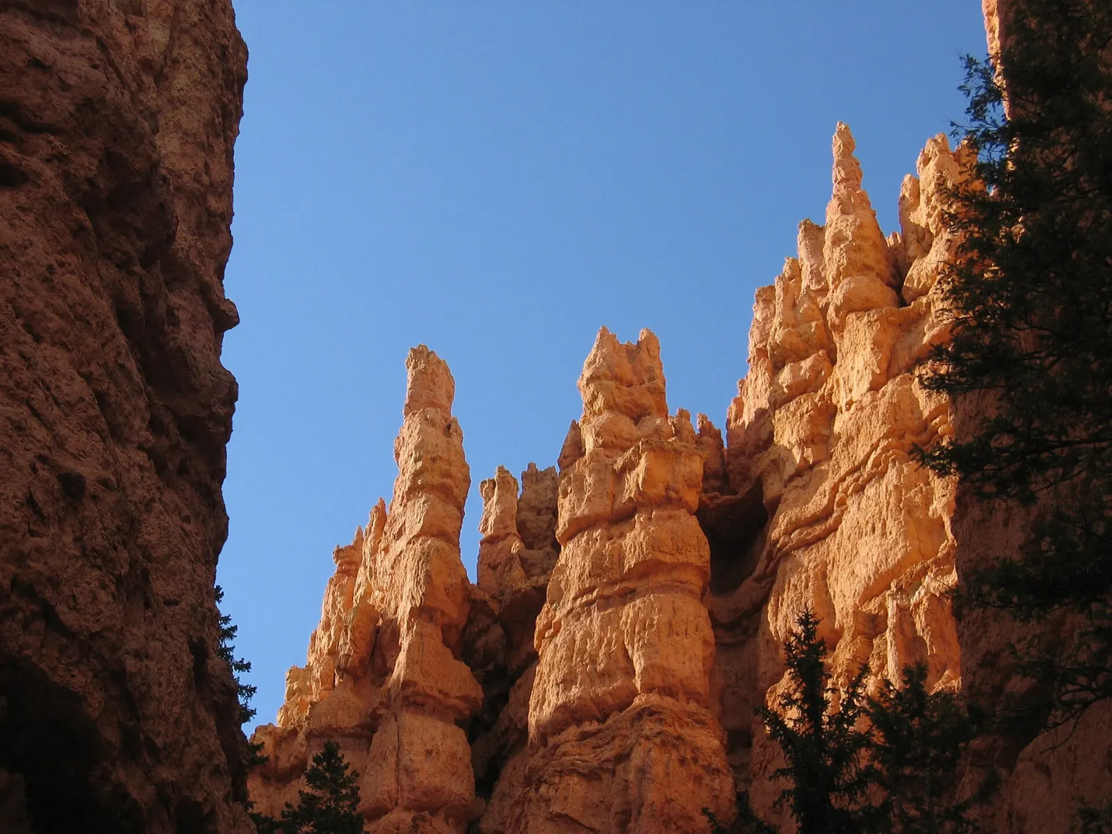Wide view across the amphitheater from the promontory at Bryce Point, Bryce Canyon National Park, Utah