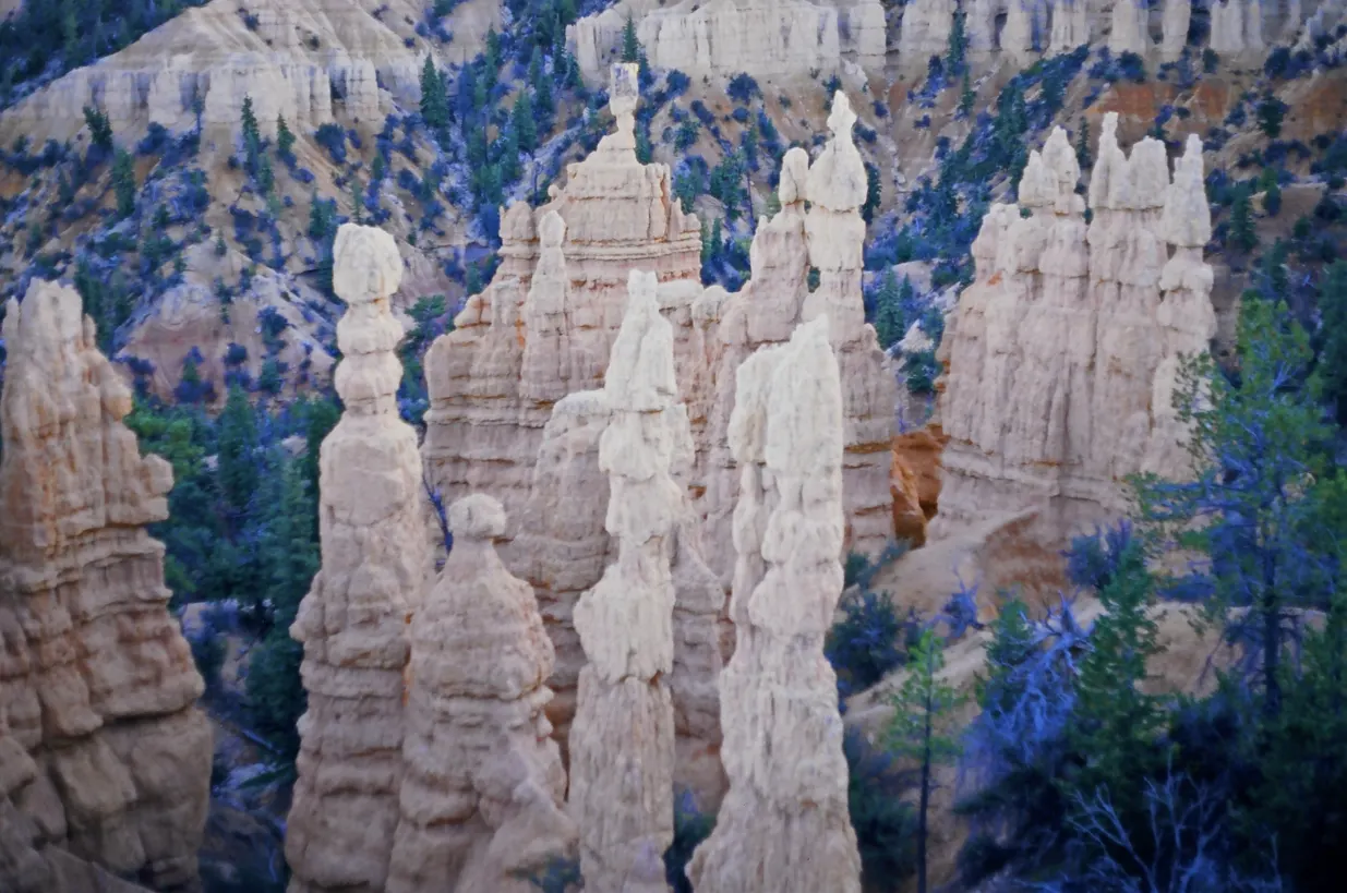 Hoodoos and green pines in Fairyland Canyon, Bryce Canyon National Park, Utah