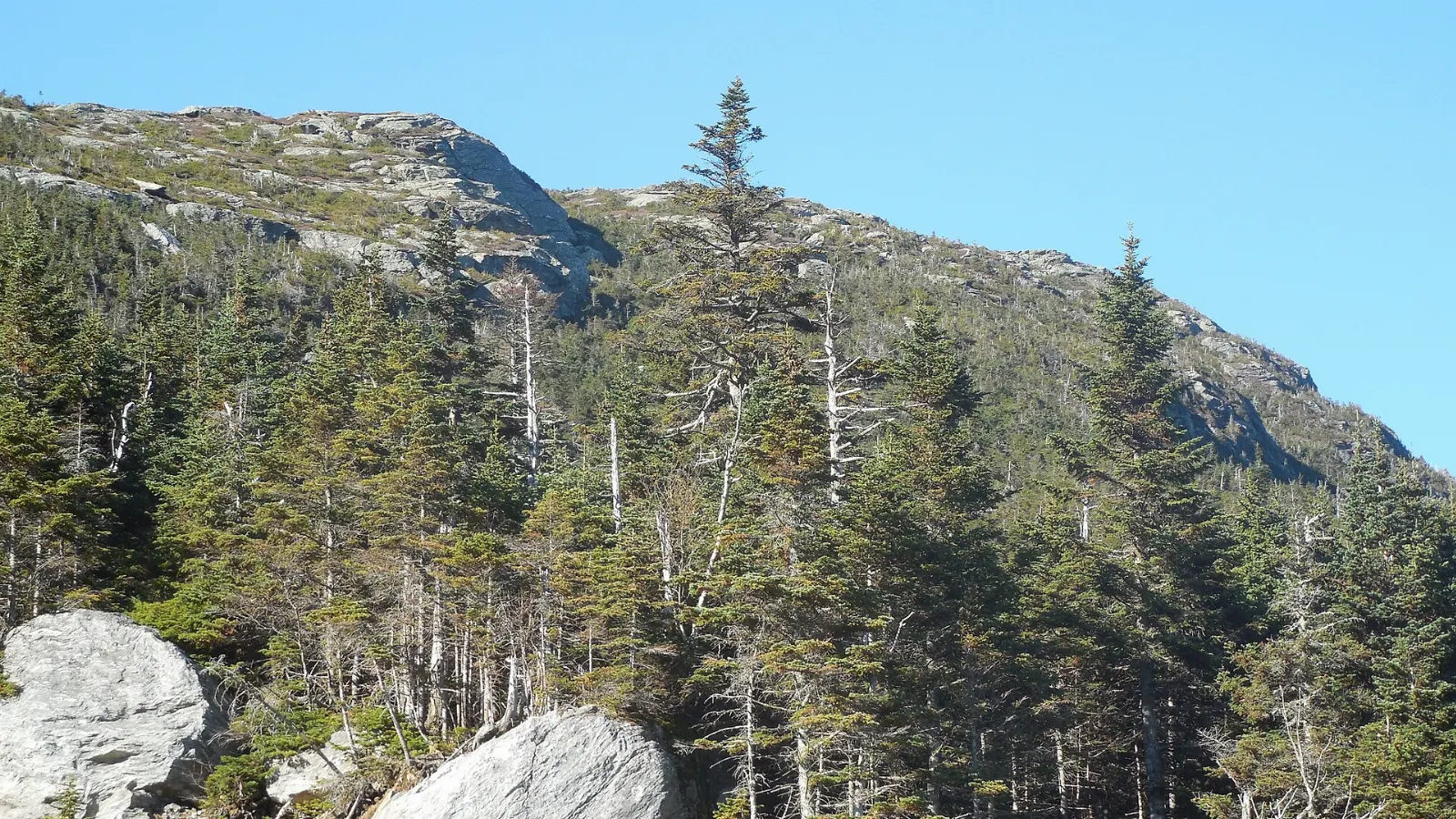 The long ridge of Mount Mansfield, the highest peak in Vermont, under autumn foliage, Burlington, Vermont