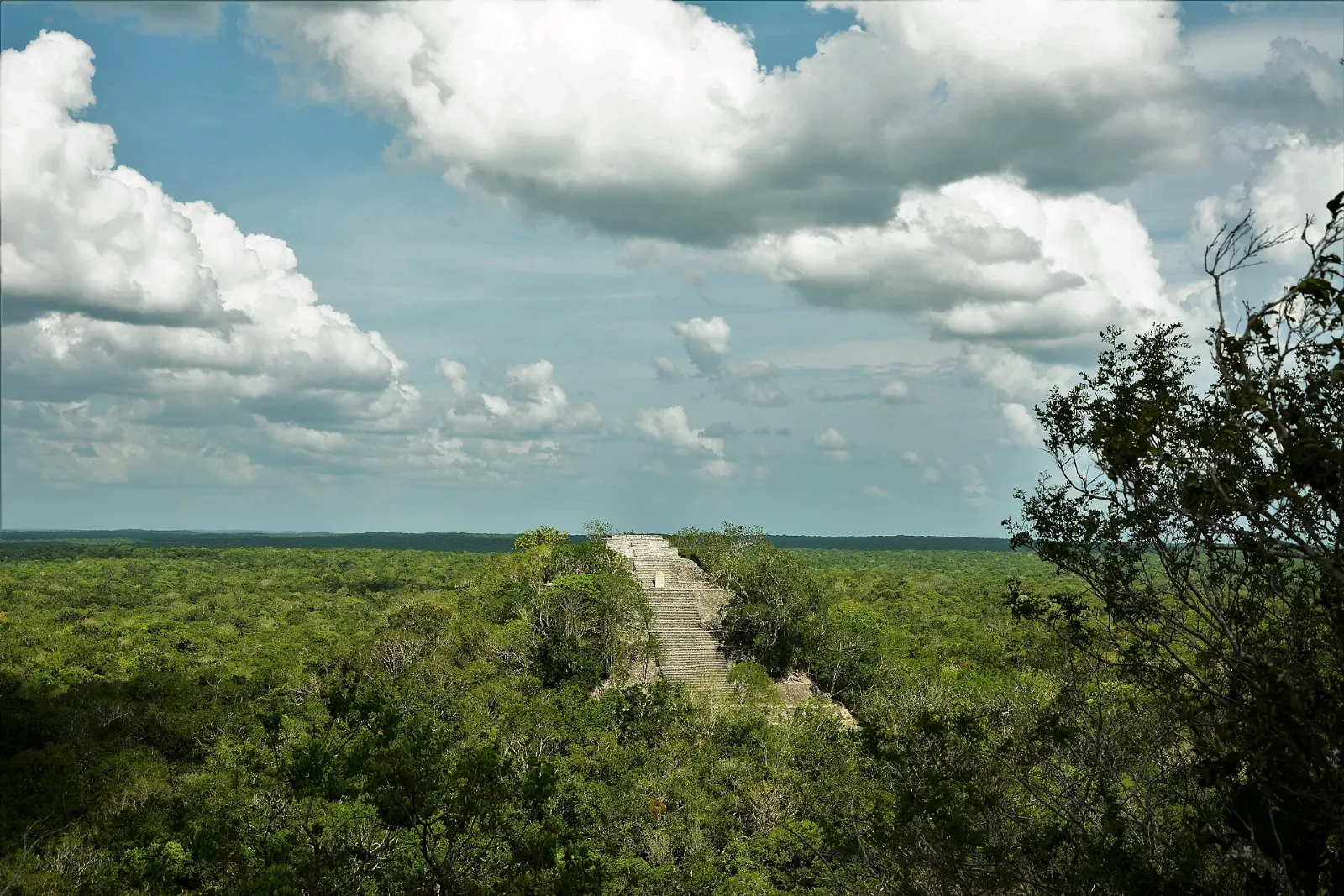 Dense tropical forest inside the Calakmul Biosphere Reserve, Campeche