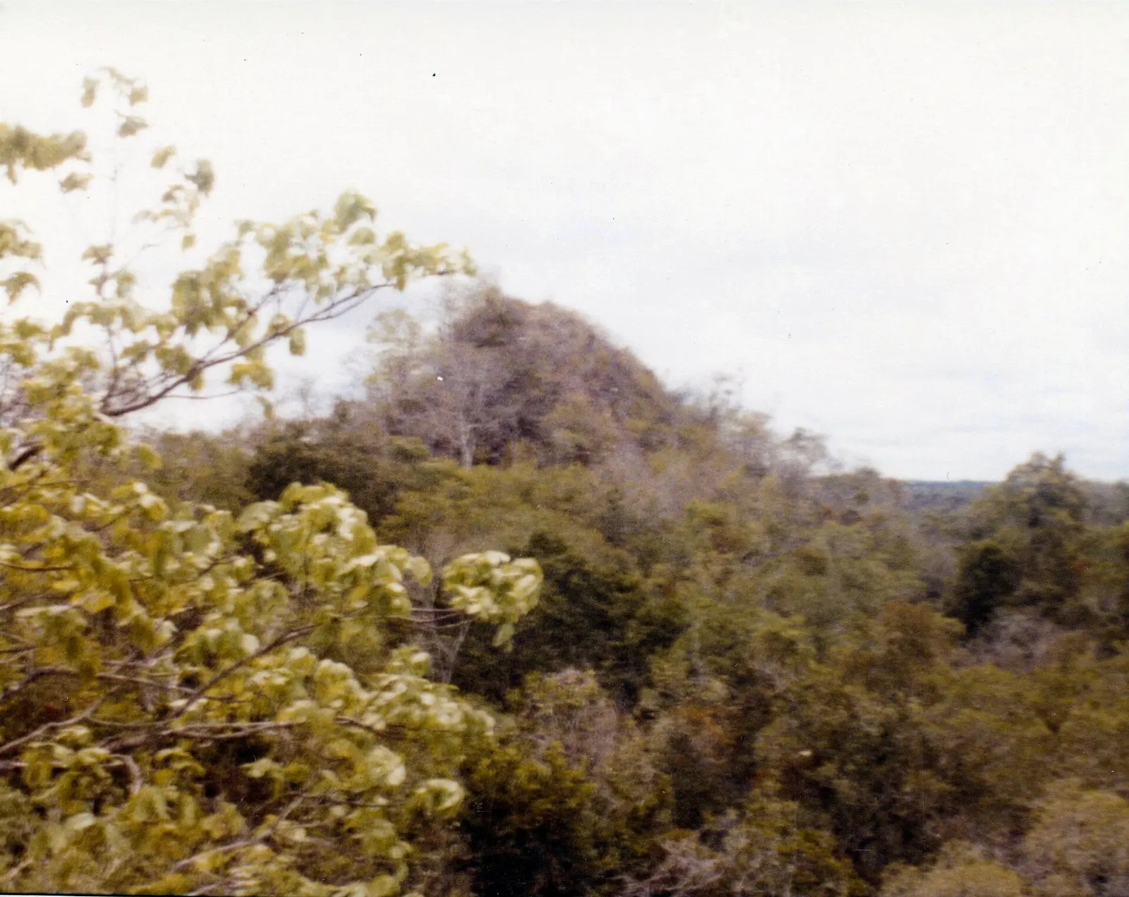 Temple towers at the Maya site of Becán in Campeche, Calakmul, Campeche