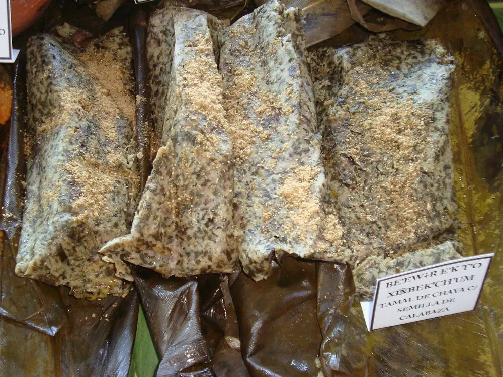 Tamales de chaya in Calakmul, Campeche