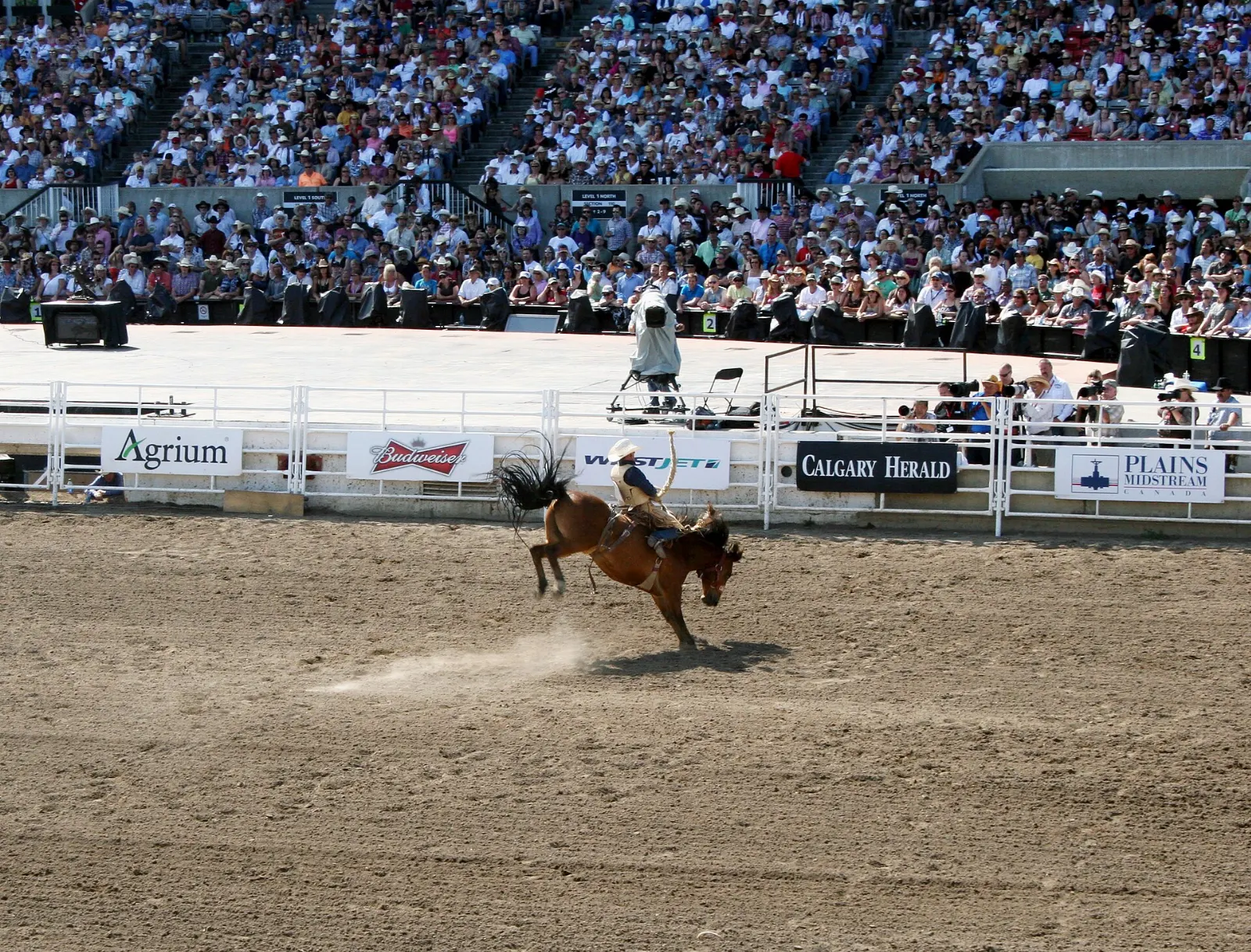 Rodeo action in the grandstand during the Calgary Stampede, Alberta
