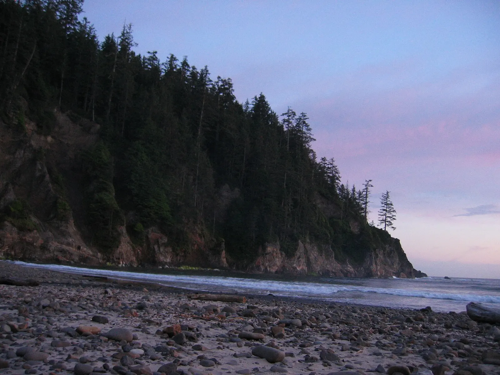 Short Sand Beach in a forested cove at Oswald West State Park with surfers in the water, Cannon Beach, Oregon