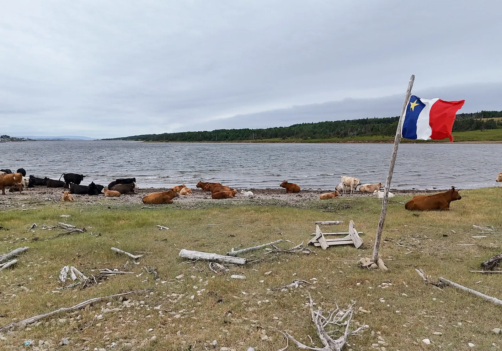 Chéticamp harbour with its Acadian church on the Cabot Trail, Cape Breton Island, Nova Scotia