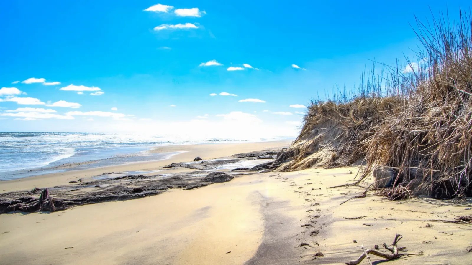 A broad sandy beach and dunes stretching along the Atlantic at Coast Guard Beach, Cape Cod, Massachusetts