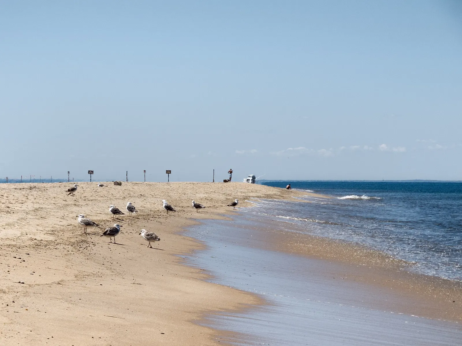 Rolling sand dunes and beach grass at the Province Lands near Race Point, Cape Cod, Massachusetts