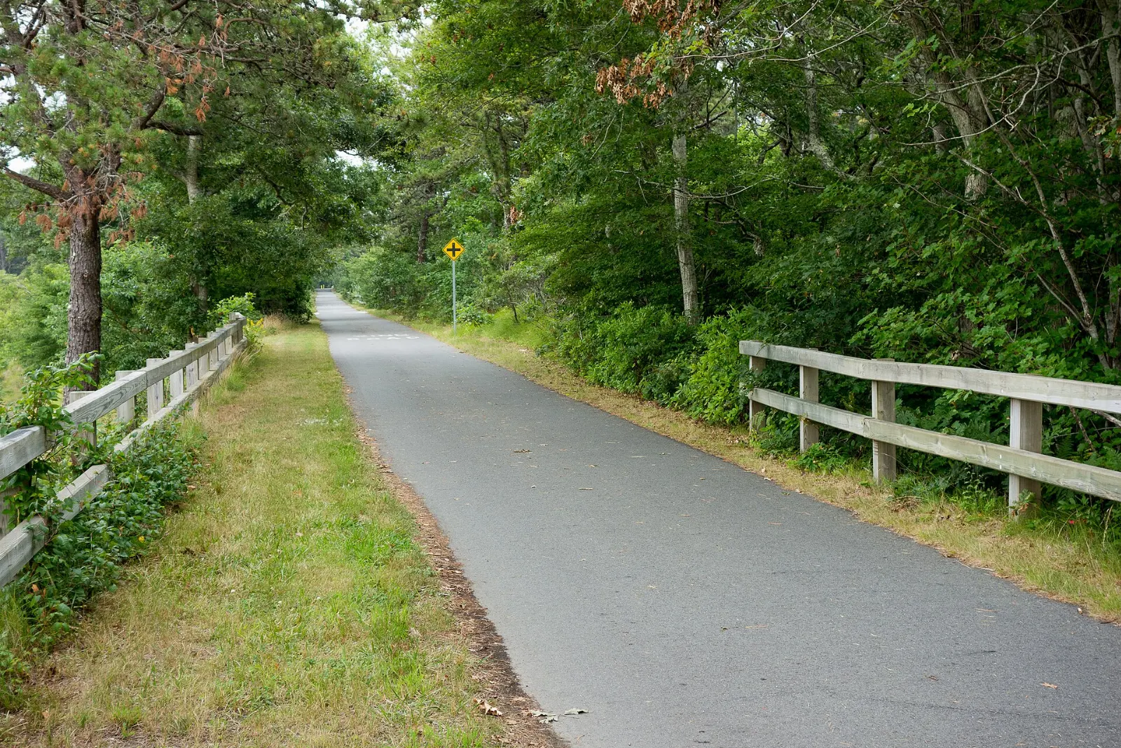 A paved bike path running between pine woods and a pond on the Cape Cod Rail Trail, Massachusetts