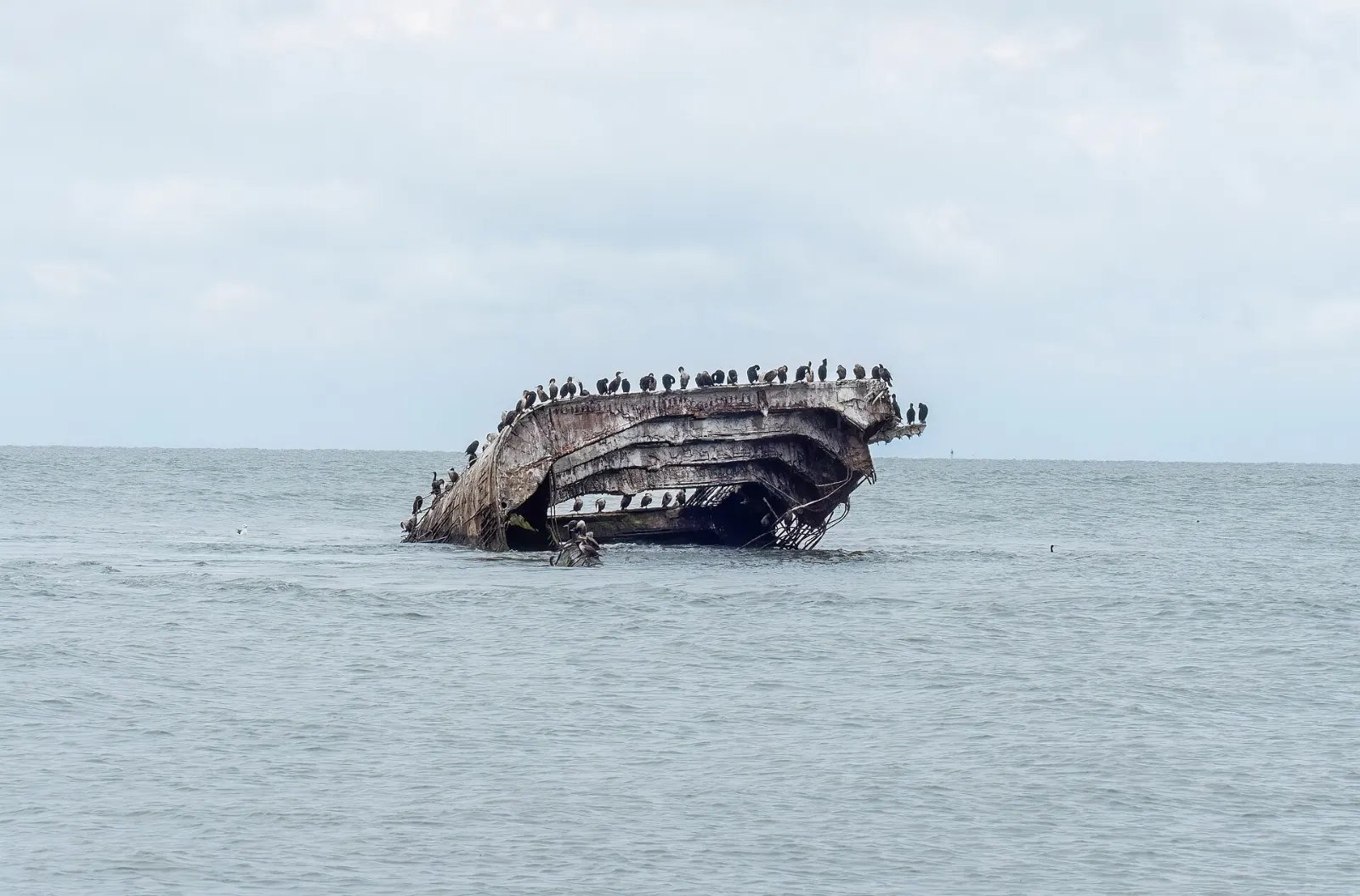 The broken concrete hull of the SS Atlantus in the water off Sunset Beach, Cape May, New Jersey