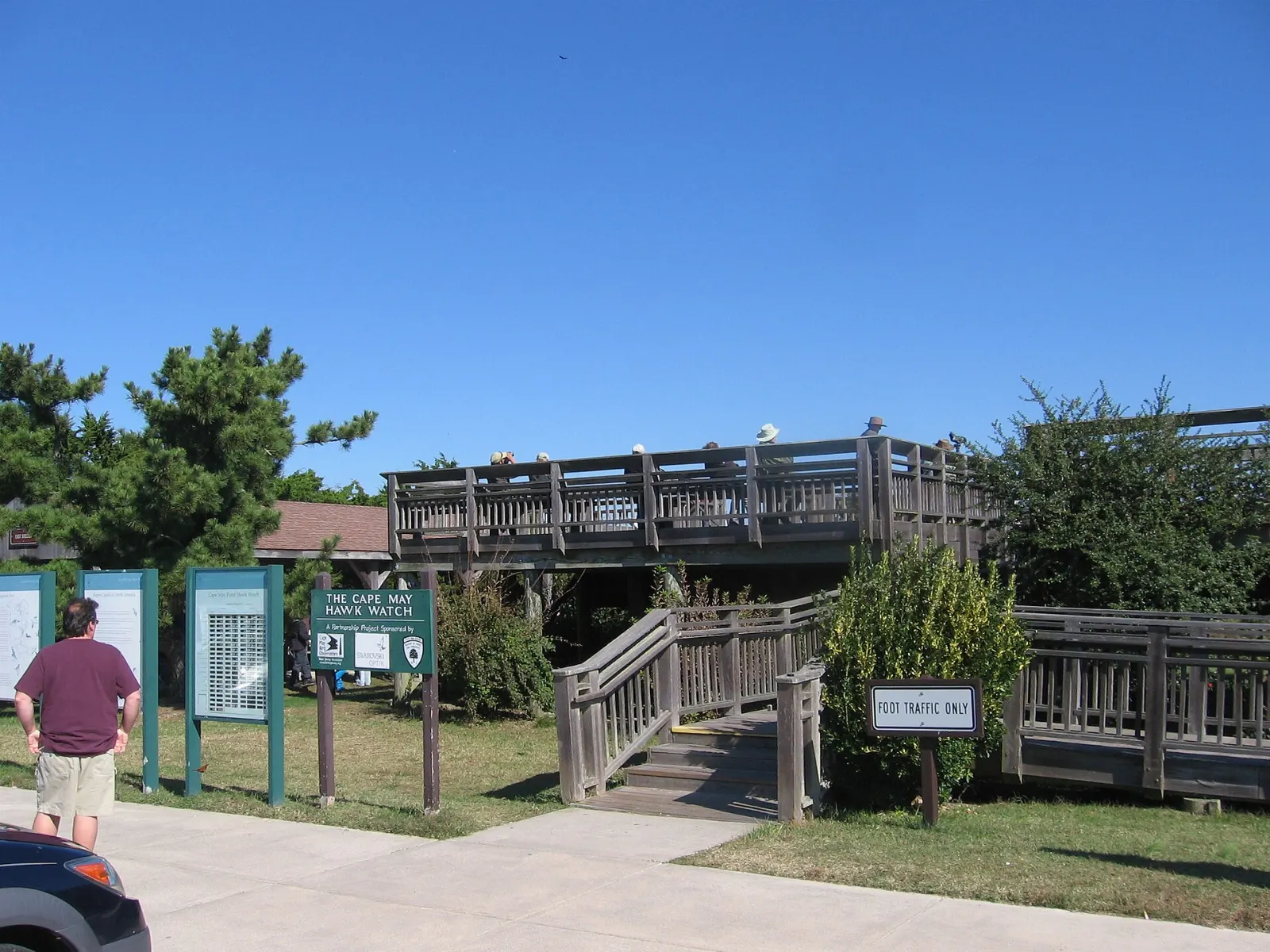 Birdwatchers with binoculars on a wooden platform near the Cape May shore, New Jersey