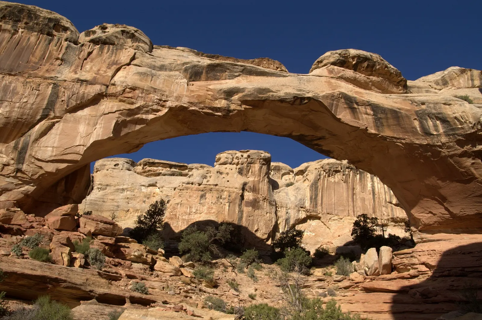A large natural sandstone bridge spanning a dry wash, Capitol Reef National Park, Utah