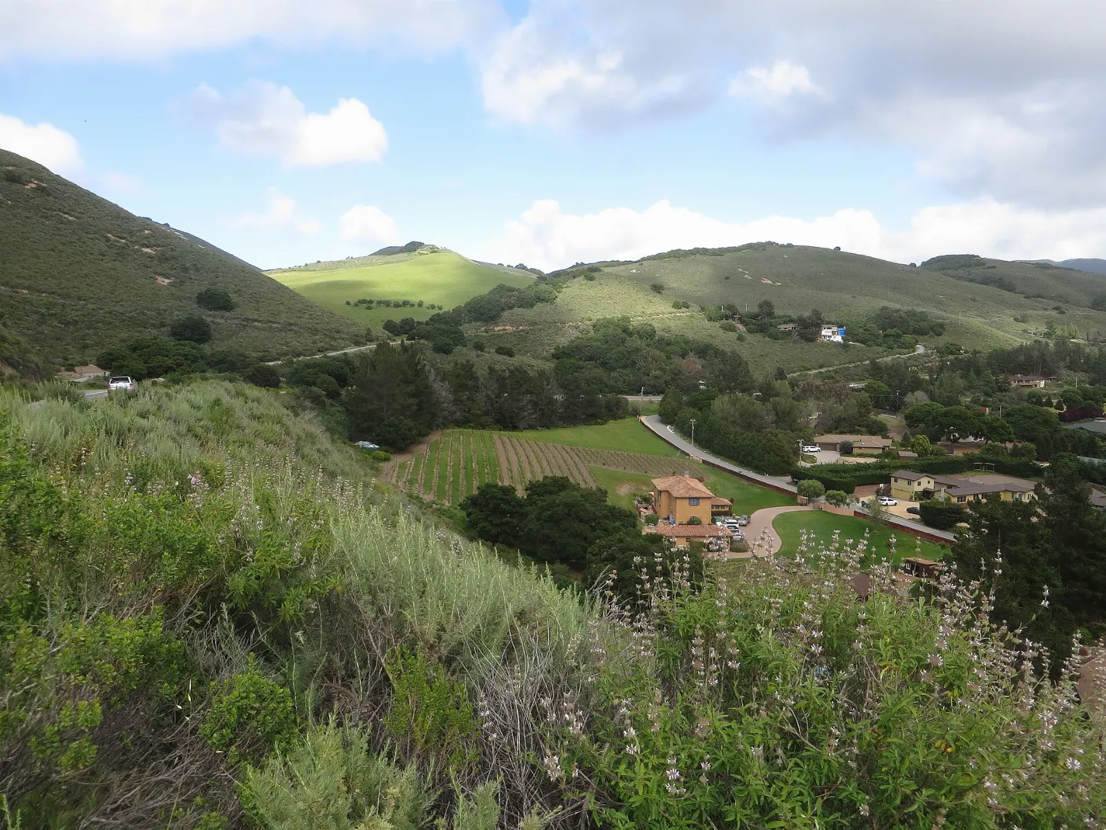 Main street of Carmel Valley Village with oak-covered hills behind, Carmel-by-the-Sea, California