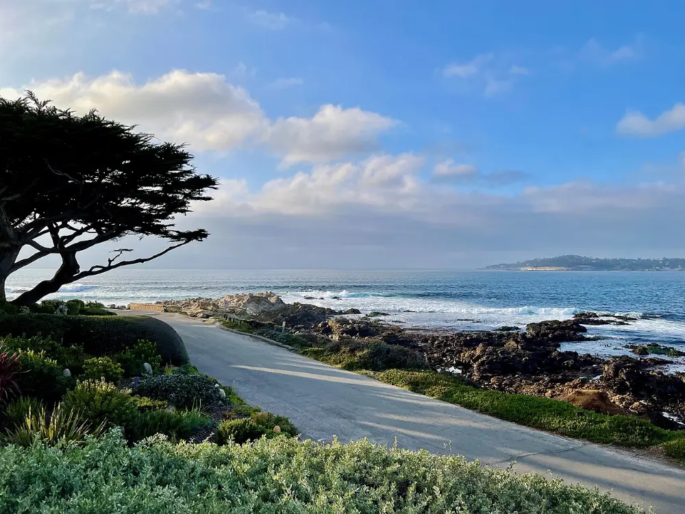 Scenic Road, Carmel-by-the-Sea, California