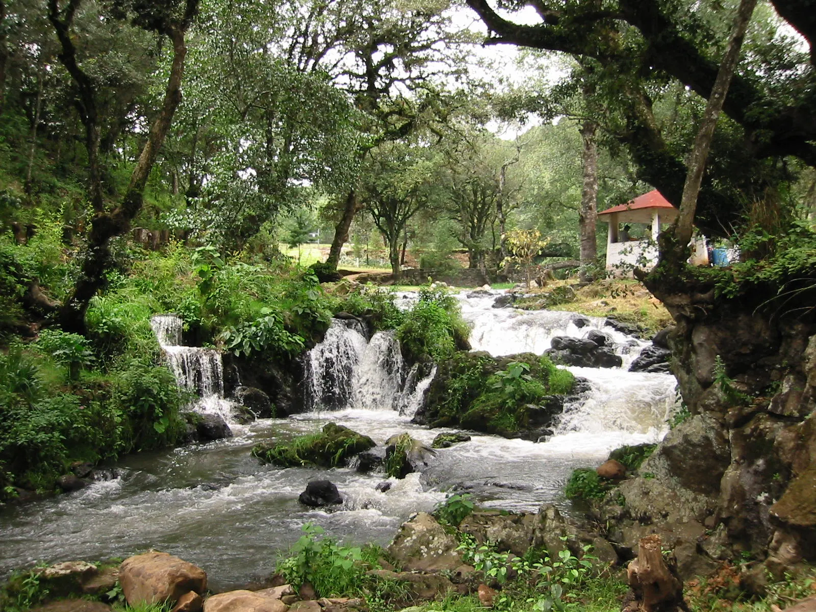 A hanging bridge in the Nanciyaga Ecological Reserve near Catemaco, Veracruz