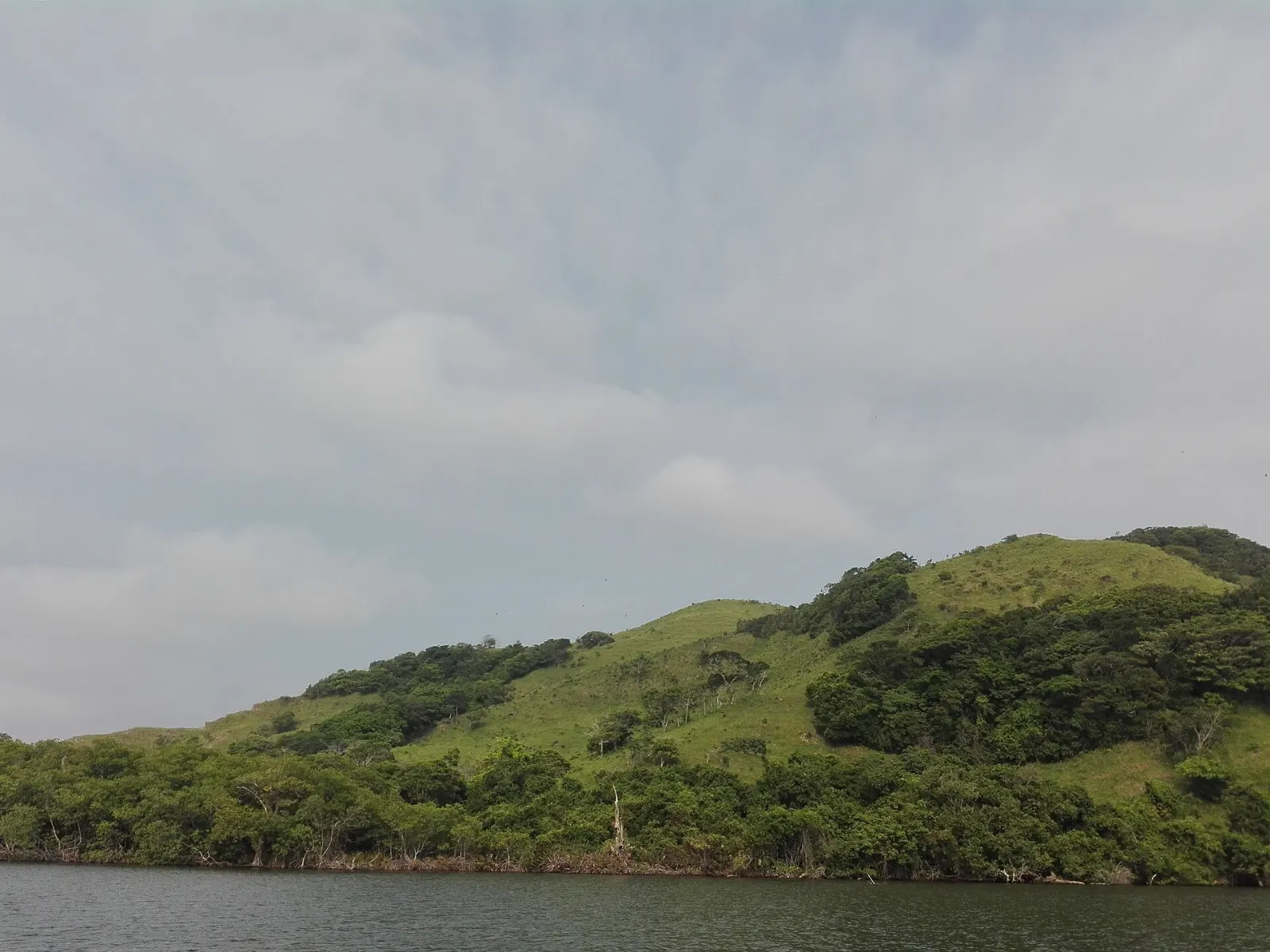 Boats on the Sontecomapan lagoon in Veracruz, Catemaco, Veracruz