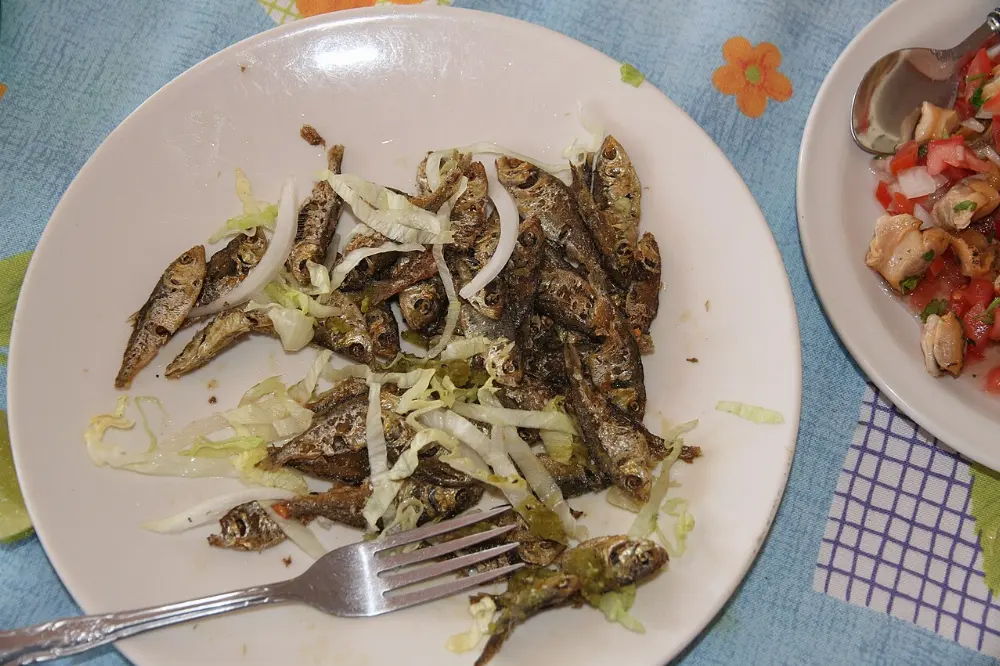 Topote in Catemaco, Veracruz