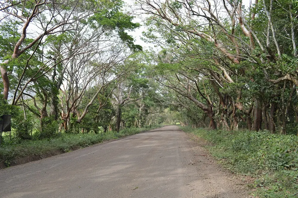 Montepío, Catemaco, Veracruz