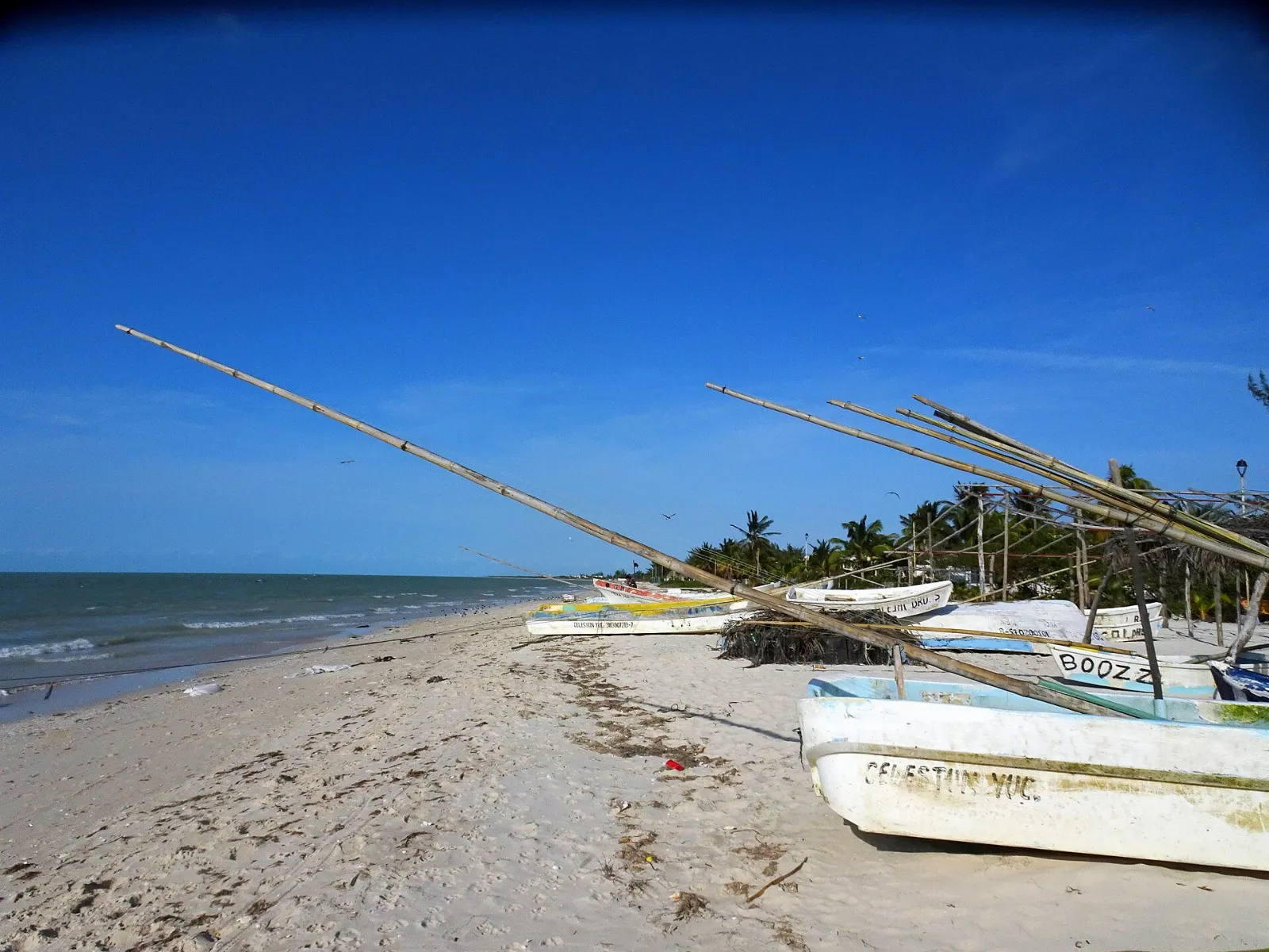 Fishing boats pulled up on the sand at Celestún, Yucatán