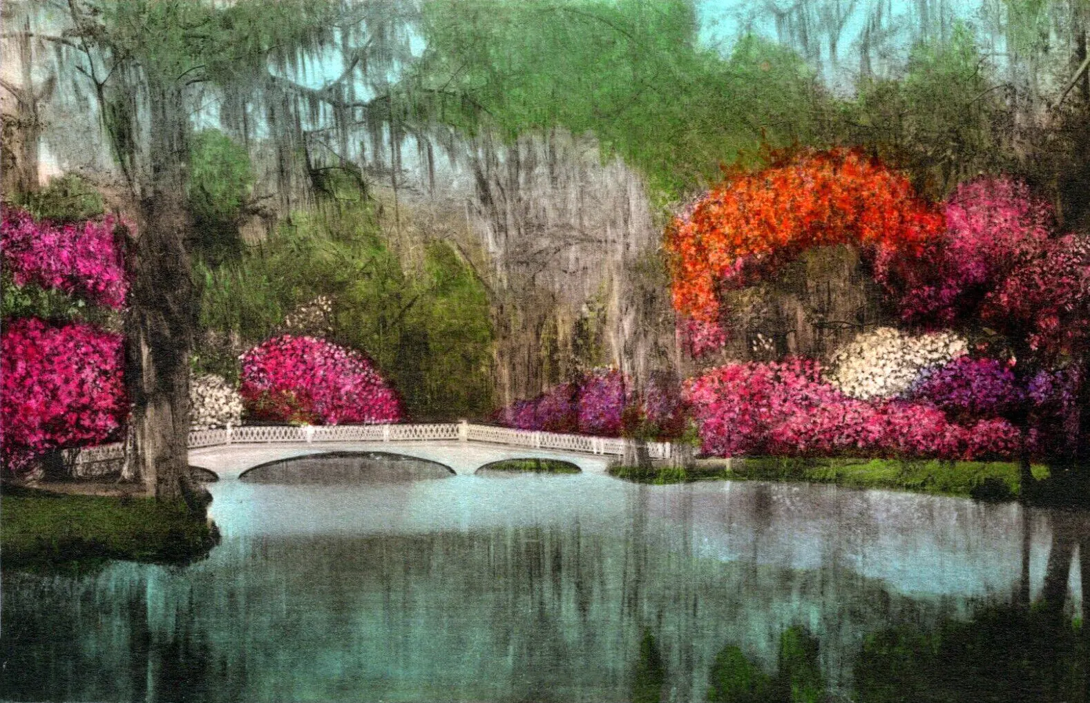 White bridge over a dark lagoon surrounded by azaleas and live oaks, Charleston, South Carolina