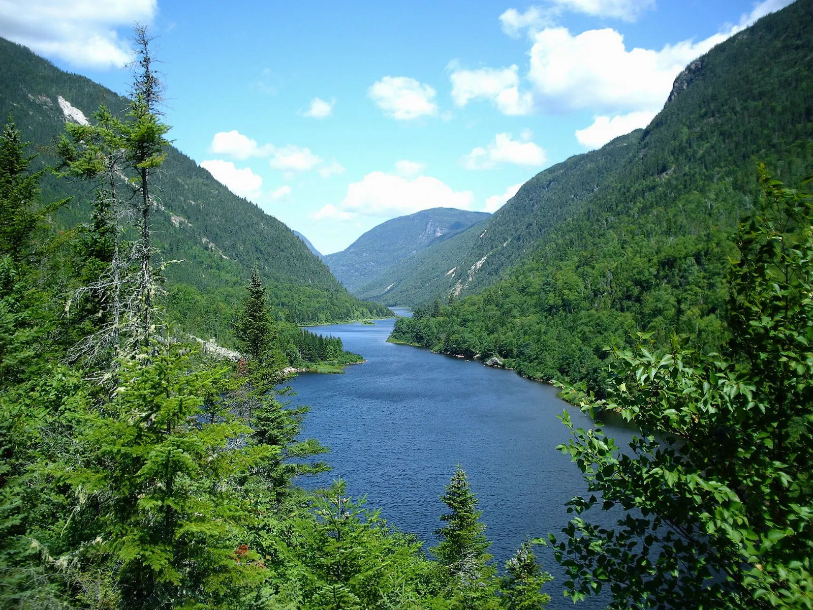 Malbaie River gorge with steep walls in Hautes-Gorges National Park, Charlevoix, Quebec