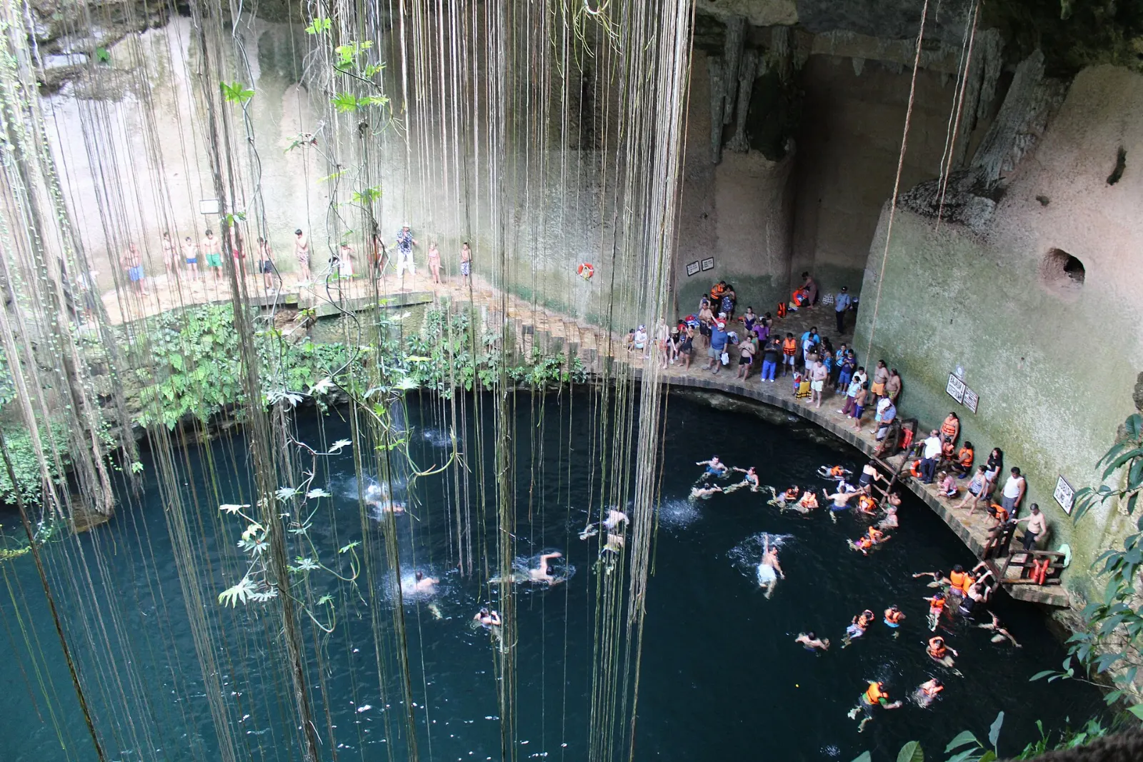 Swimmers in Cenote Ik Kil with vines hanging from the opening above, Chichén Itzá, Yucatán