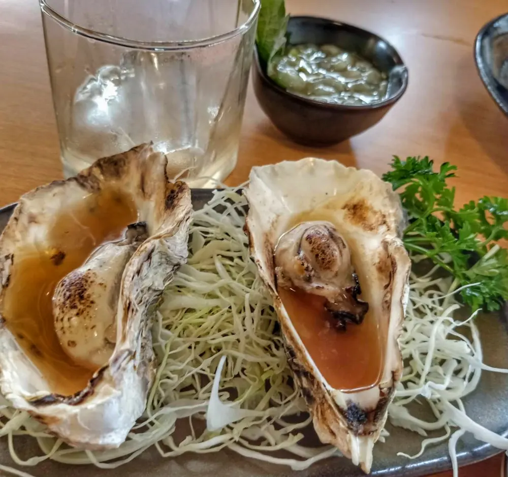 Oysters in Cliffs of Moher and the Burren, Ireland