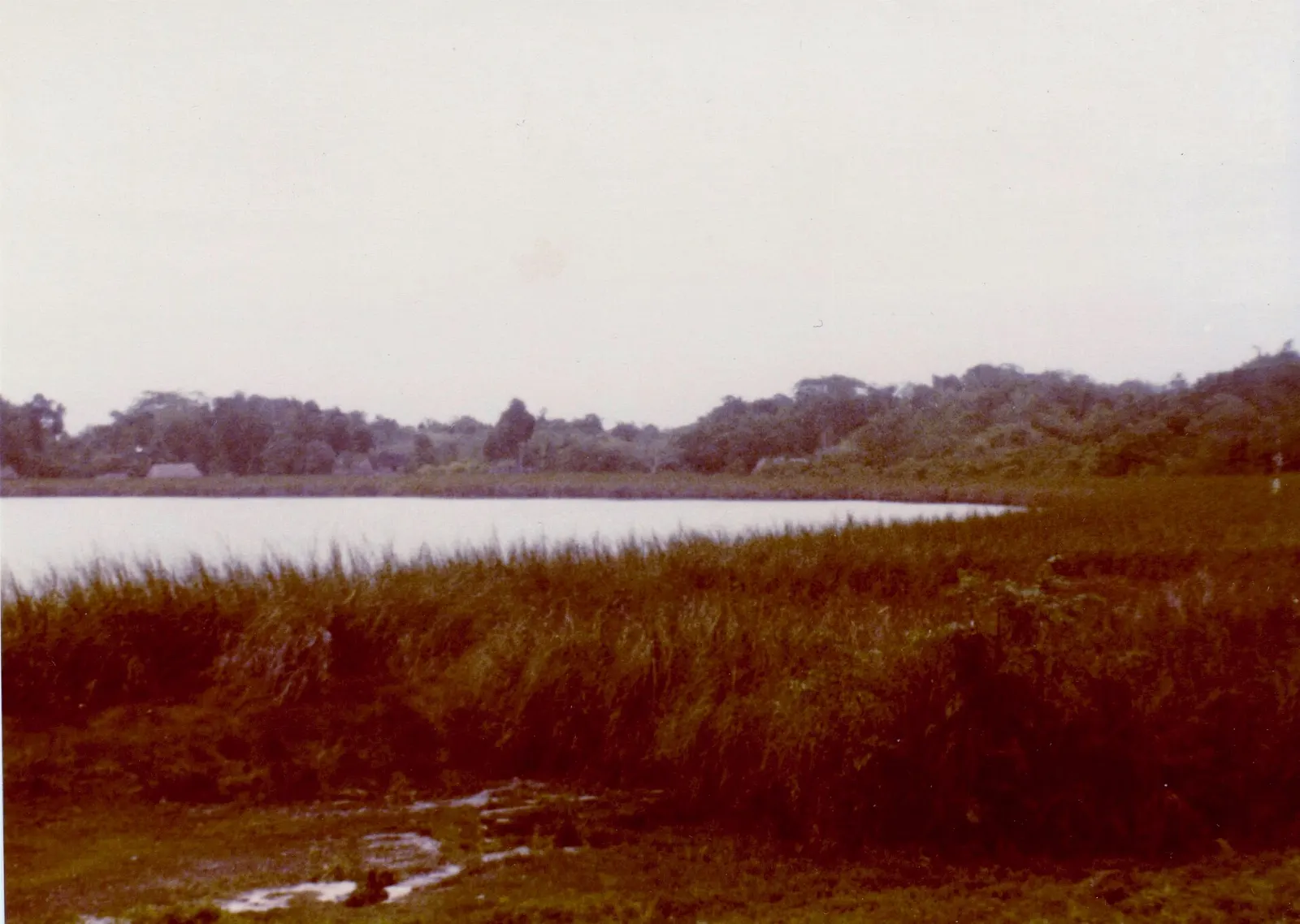 A calm lagoon beside the village of Cobá in Quintana Roo