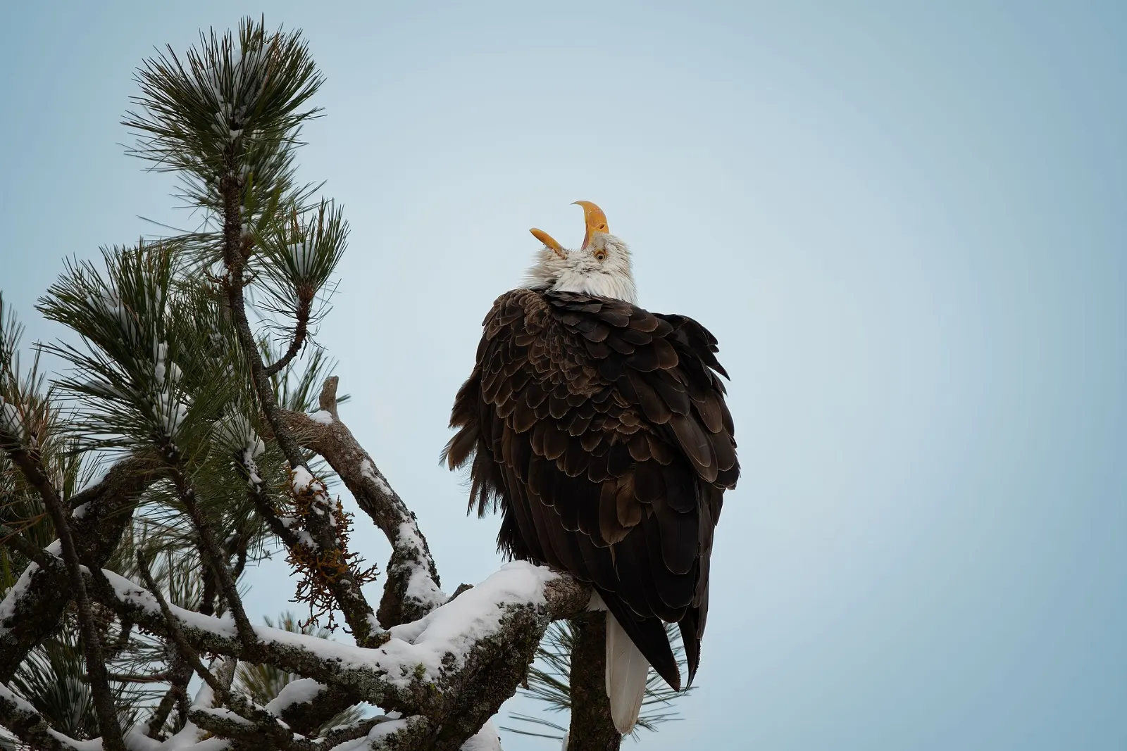 Coeur d'Alene Lake Drive and Higgins Point, Coeur d'Alene, Idaho, United States