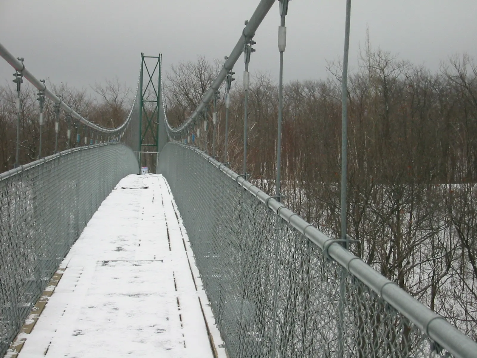 Suspension footbridge at Scenic Caves above the escarpment forest, Collingwood, Ontario