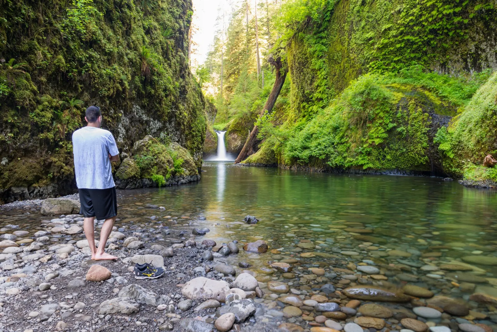 Punch Bowl Falls pouring into a round green pool surrounded by mossy cliffs on Eagle Creek, Columbia River Gorge, Oregon