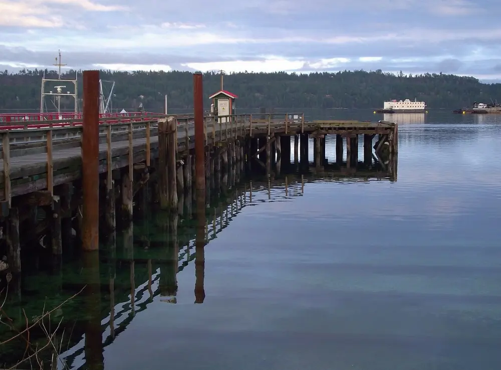Fanny Bay oysters in Comox Valley, British Columbia