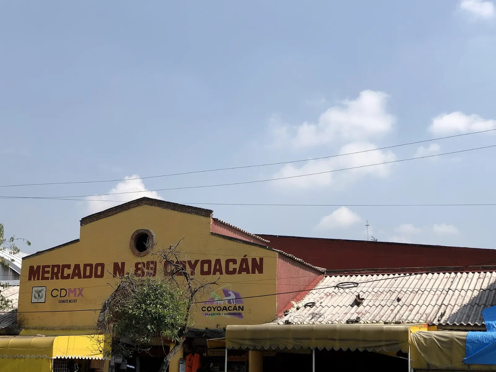 Mercado de Coyoacán, Coyoacán, Mexico City, Mexico