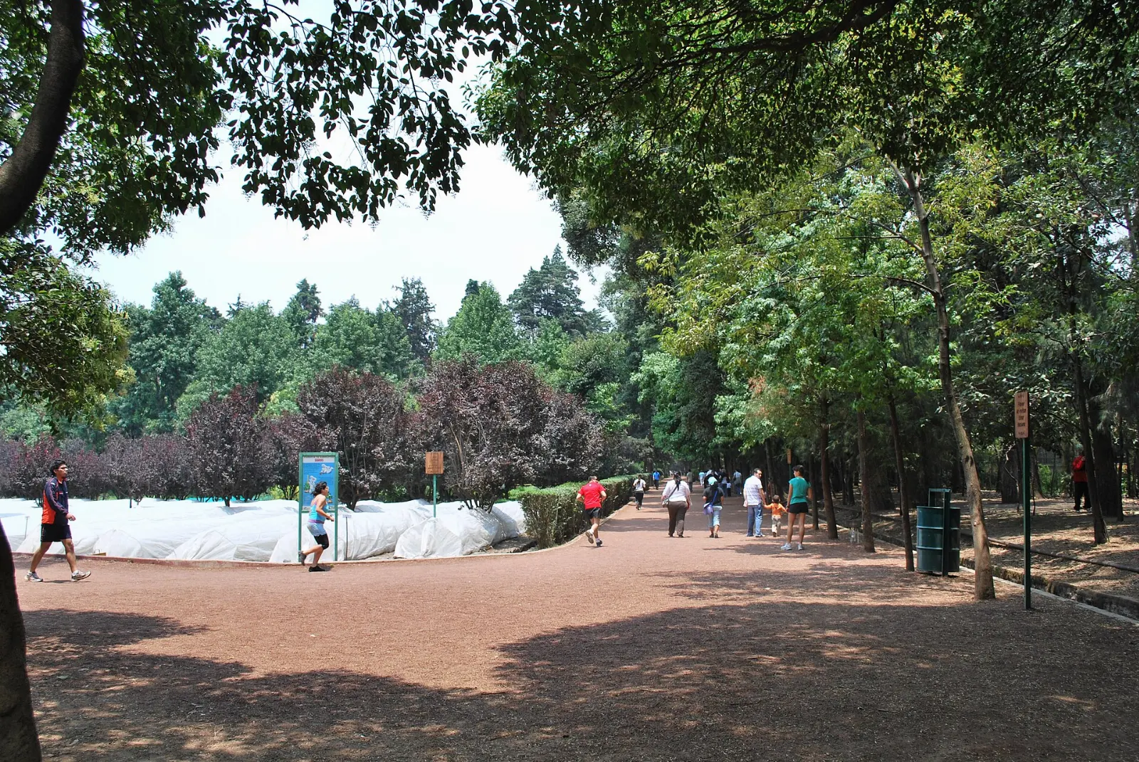 Viveros de Coyoacán, Coyoacán, Mexico City, Mexico