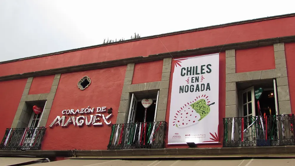 Chiles en nogada in Coyoacán, Mexico City