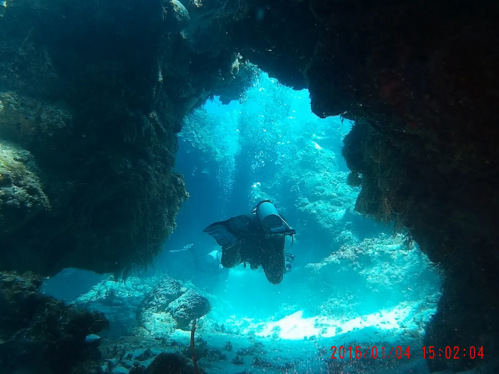 Divers over coral at Palancar Reef off Cozumel, Quintana Roo