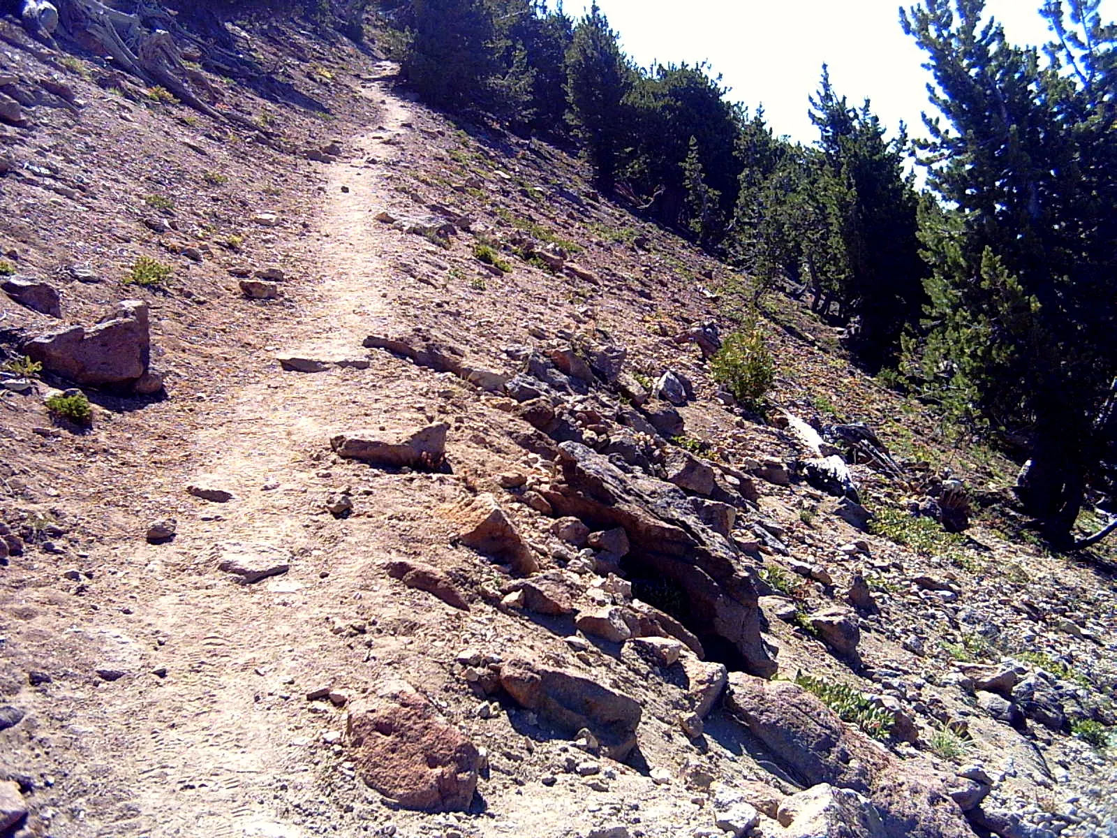The broad slopes of Mount Scott above the eastern rim of Crater Lake, Crater Lake National Park, Oregon