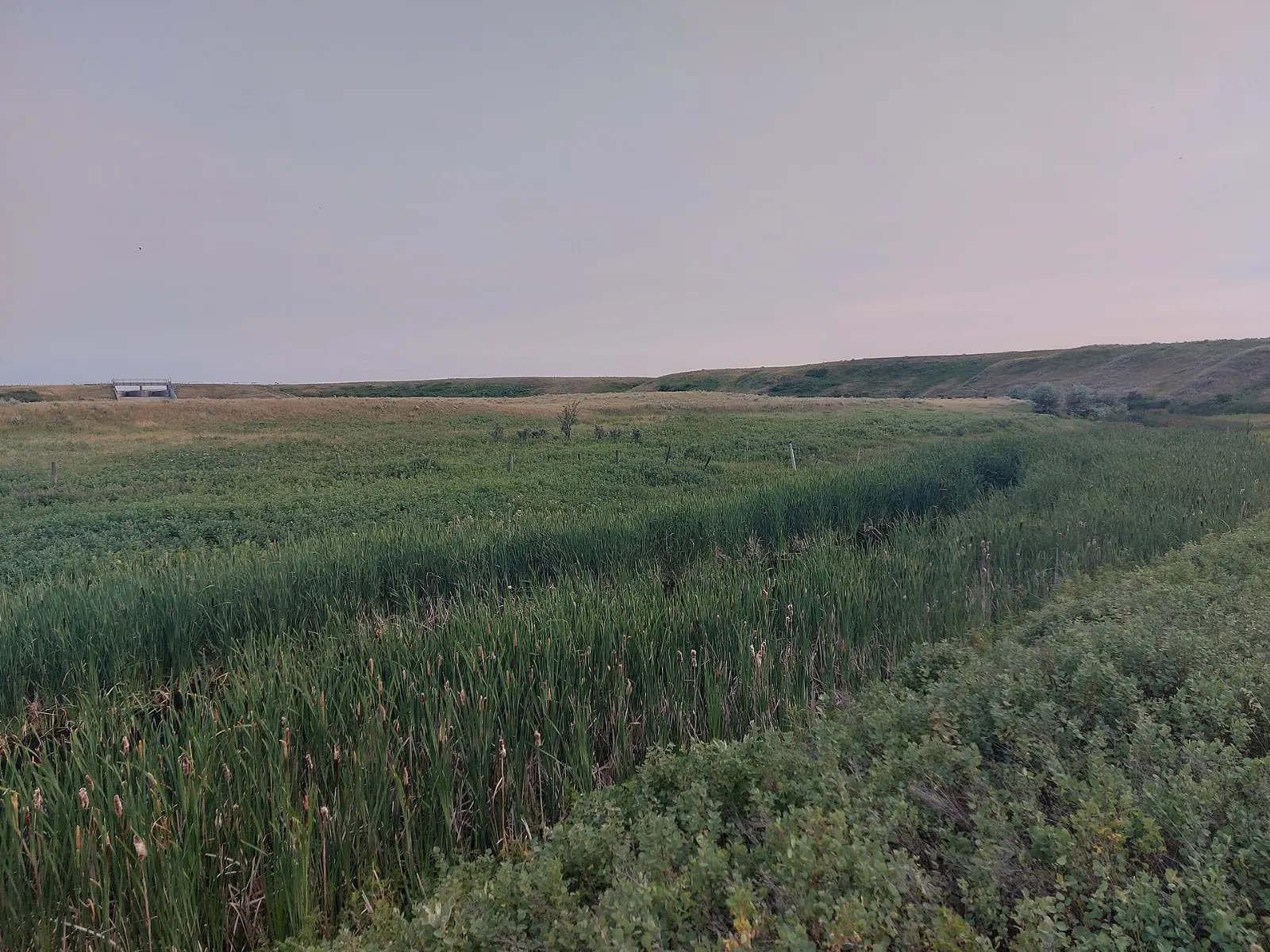 Historic main street in Maple Creek Saskatchewan, Cypress Hills Interprovincial Park, Saskatchewan