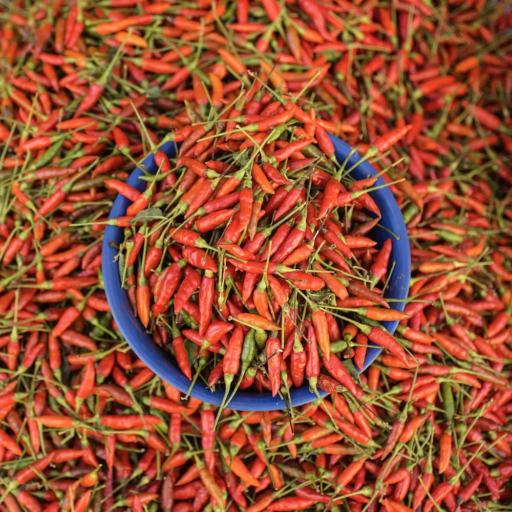 Chili in Death Valley National Park, California