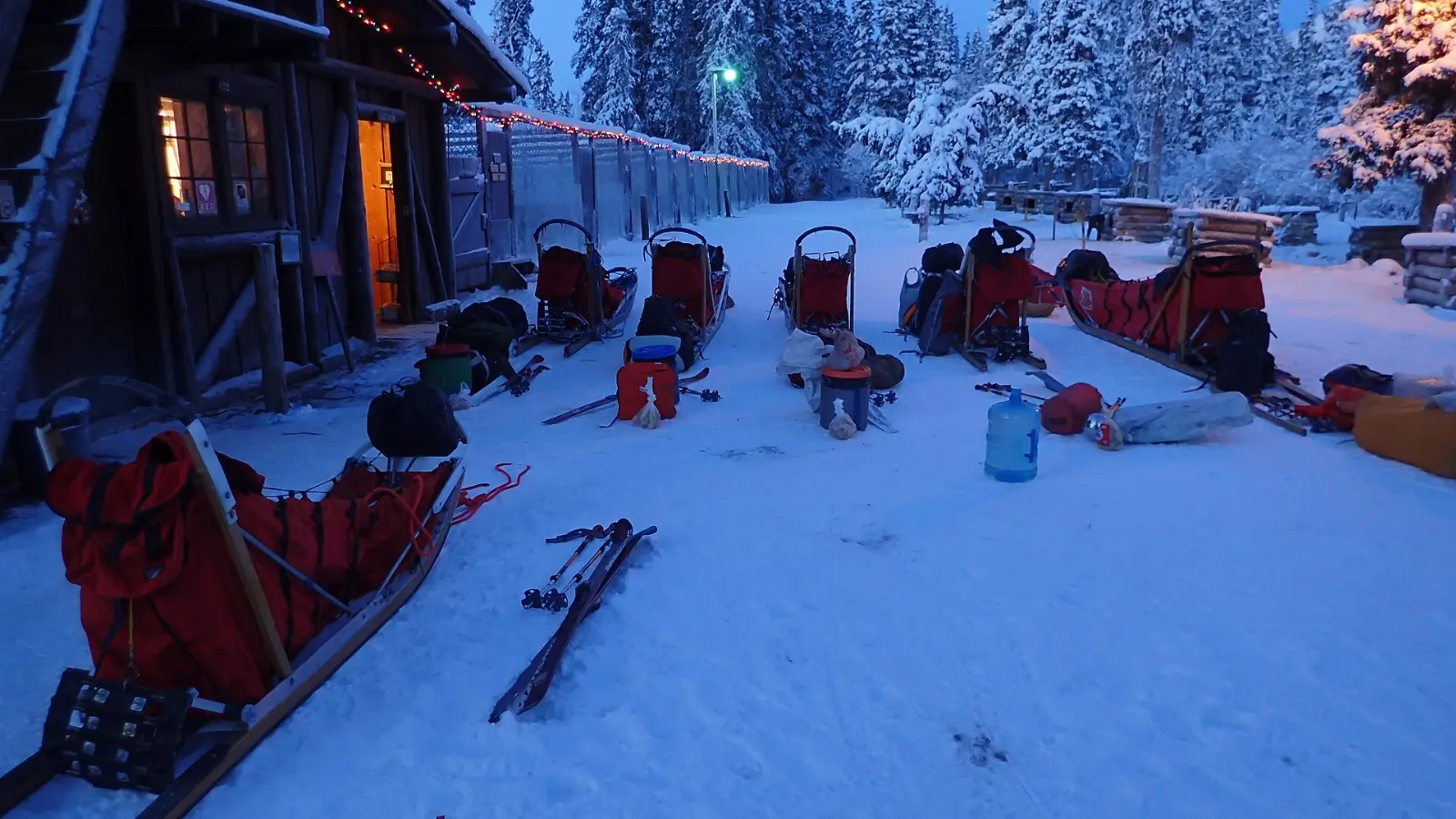 Alaskan husky sled dogs resting on their doghouses at the Denali park kennels, Denali National Park, Alaska