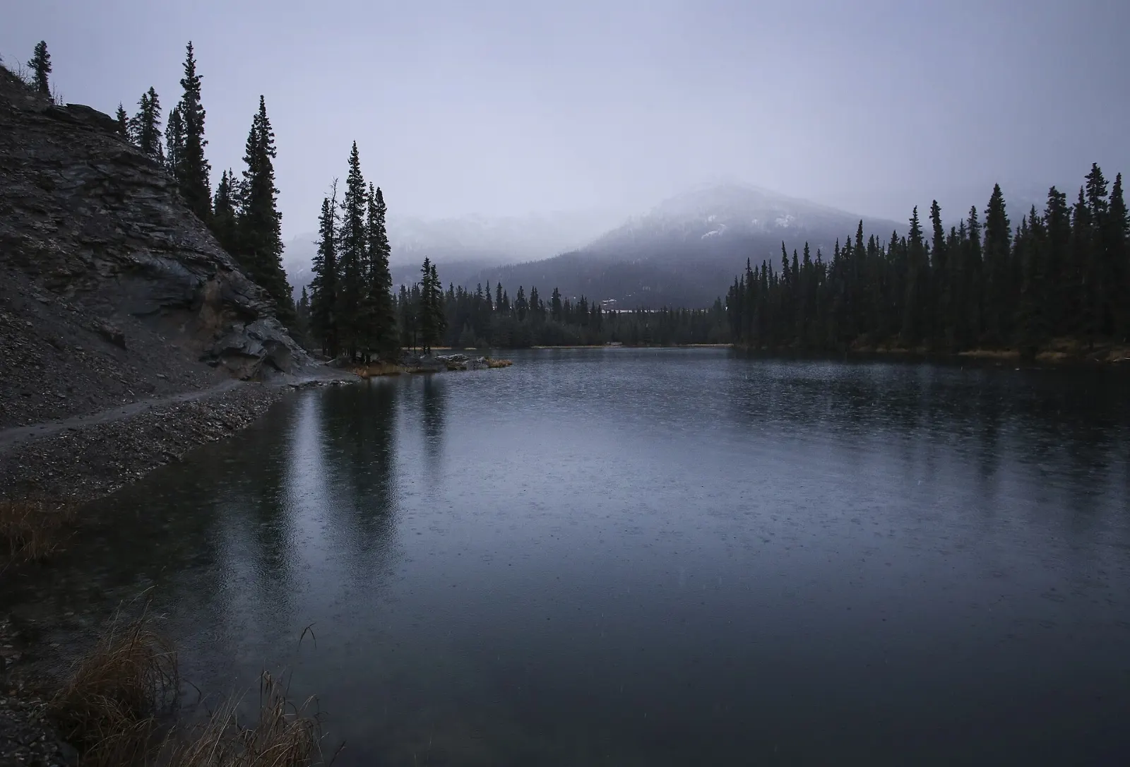 A curved oxbow lake surrounded by spruce forest below a ridge in Denali, Denali National Park, Alaska
