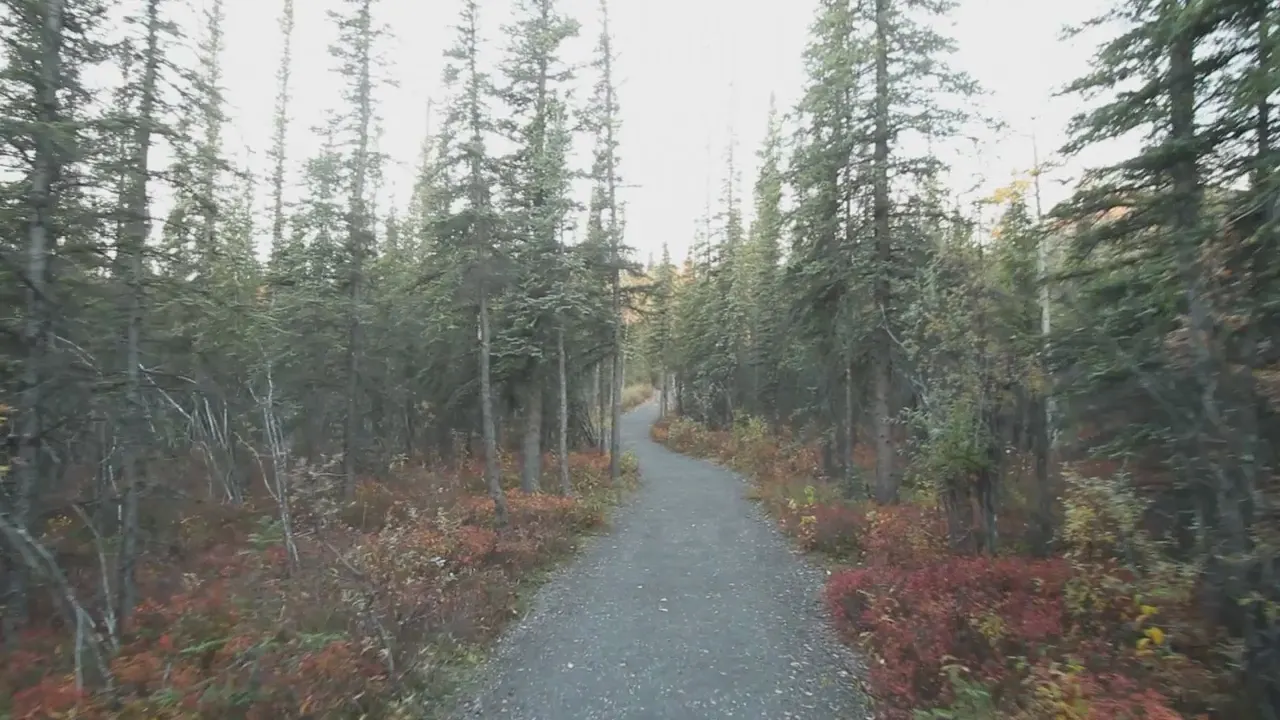 Hikers on a rocky ridge trail above the Nenana River valley near the Denali entrance, Denali National Park, Alaska