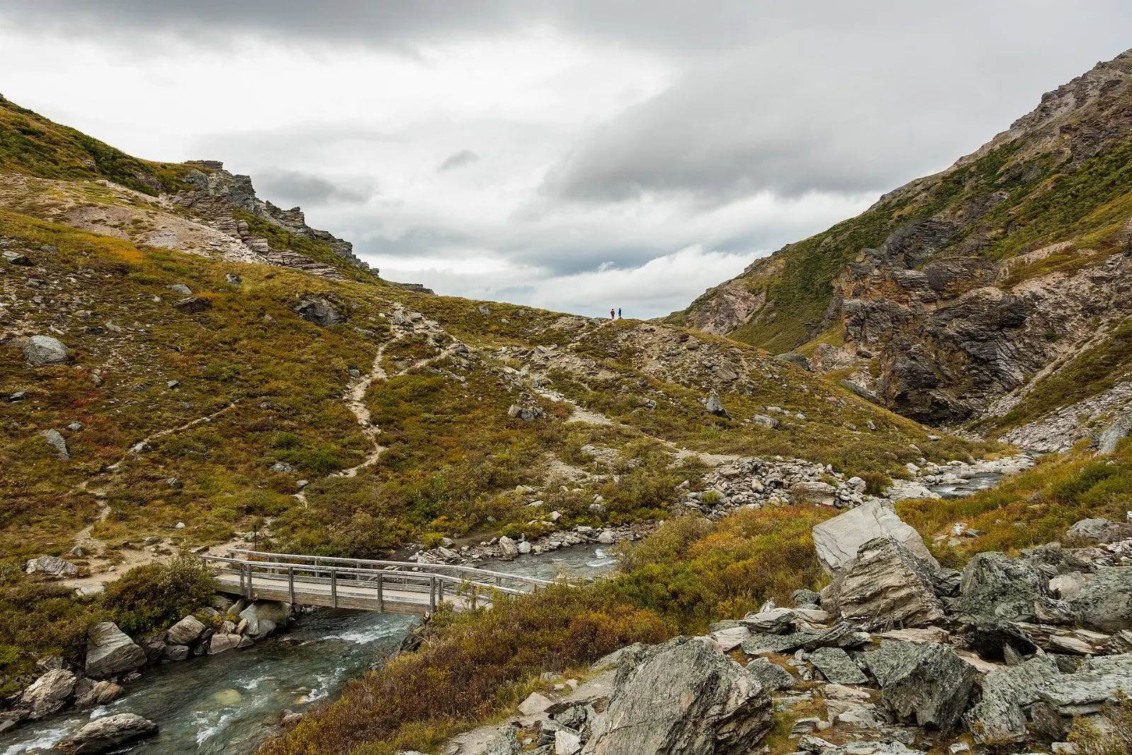 A braided river running through a rocky canyon with tundra hills in Denali, Denali National Park, Alaska