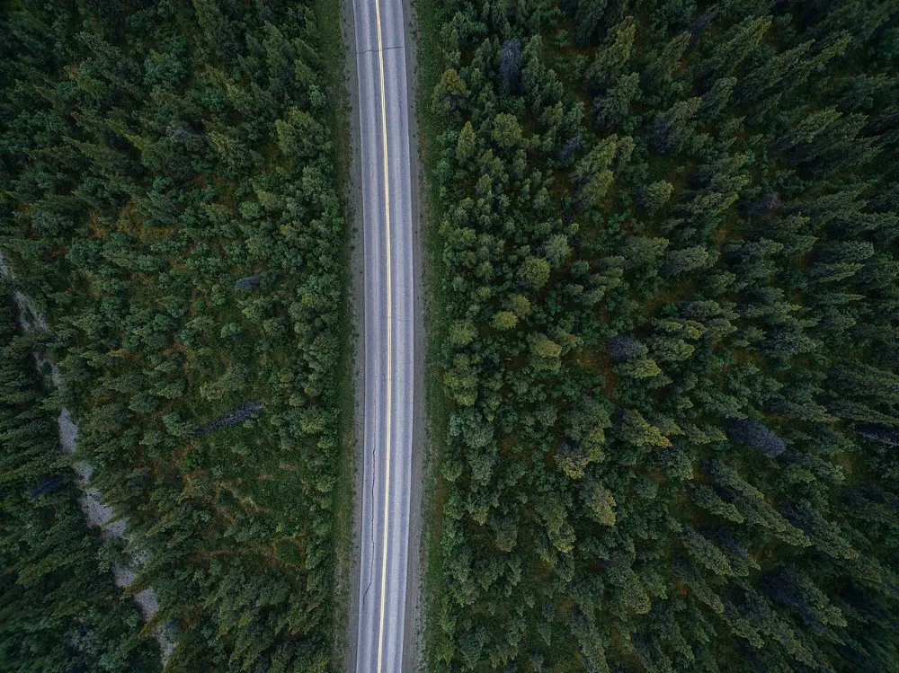Parks Highway, Denali National Park, Alaska