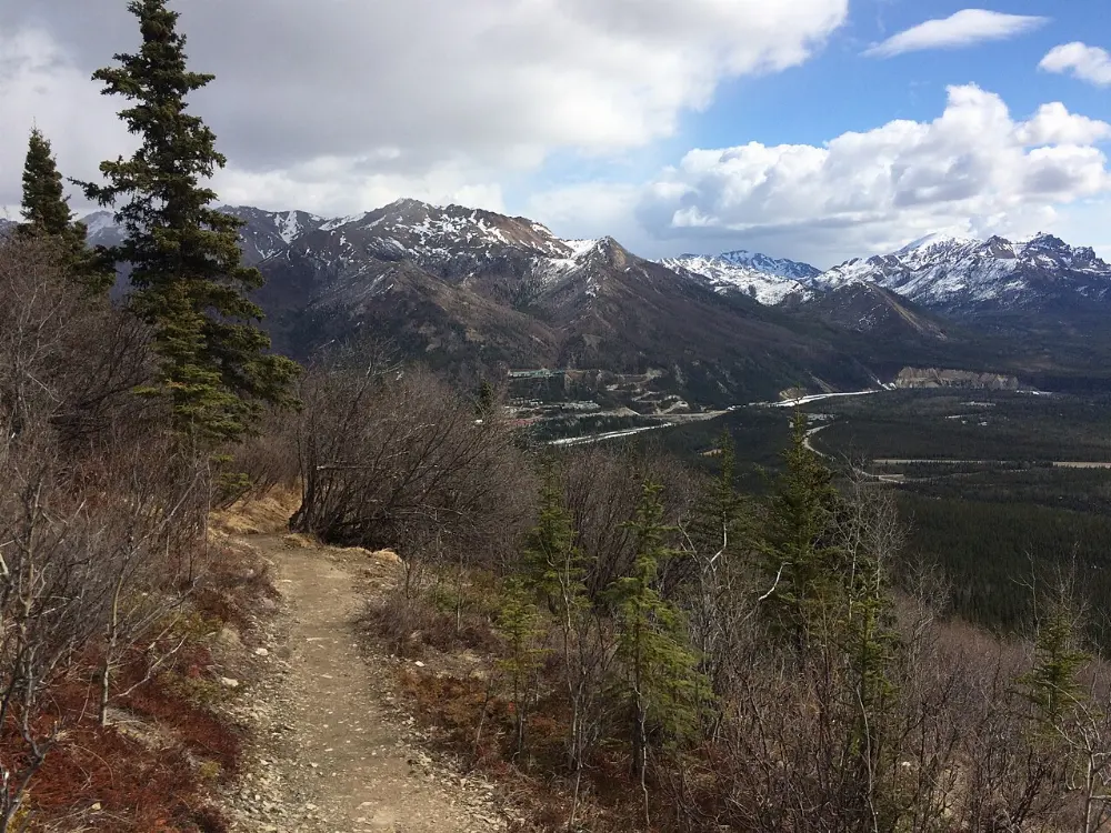 Nenana River, Denali National Park, Alaska