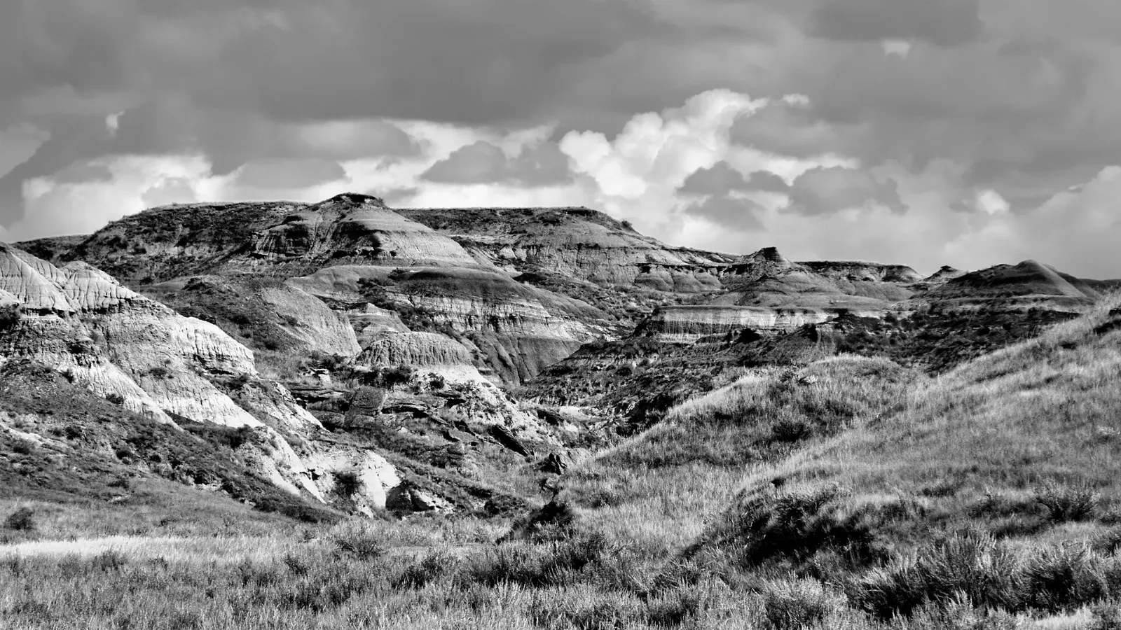 Dinosaur Provincial Park, Alberta, Canada