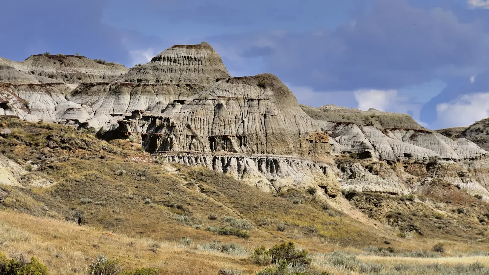 Red Deer River and cottonwoods in Dinosaur Provincial Park, Alberta