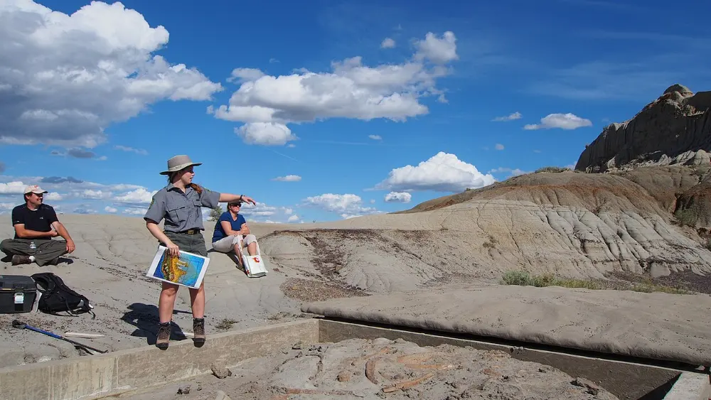 Brooks, Dinosaur Provincial Park, Alberta