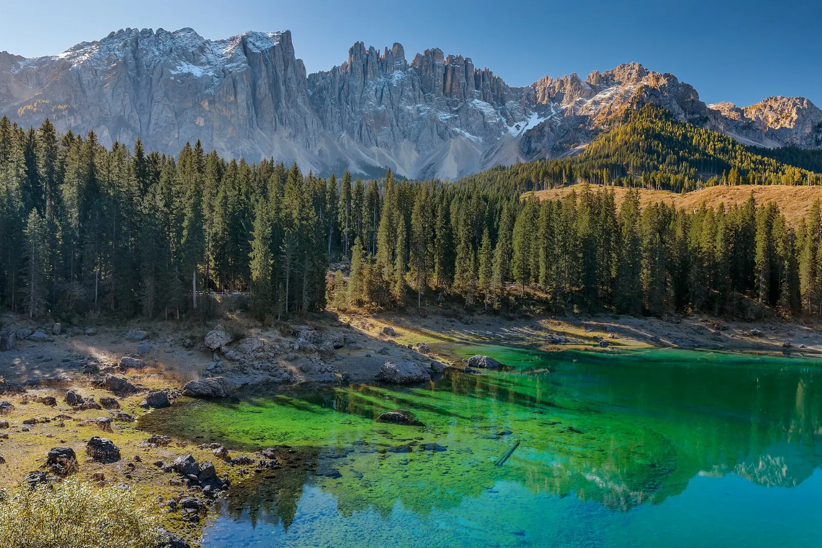 A small green lake framed by forest and the pale spires of the Latemar, Dolomites, Italy